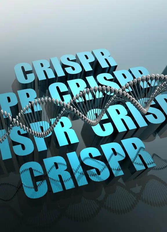 基因编辑是否会改变人类的本质，这是个超有争议的话题。从好的方面看，它潜力巨大。像