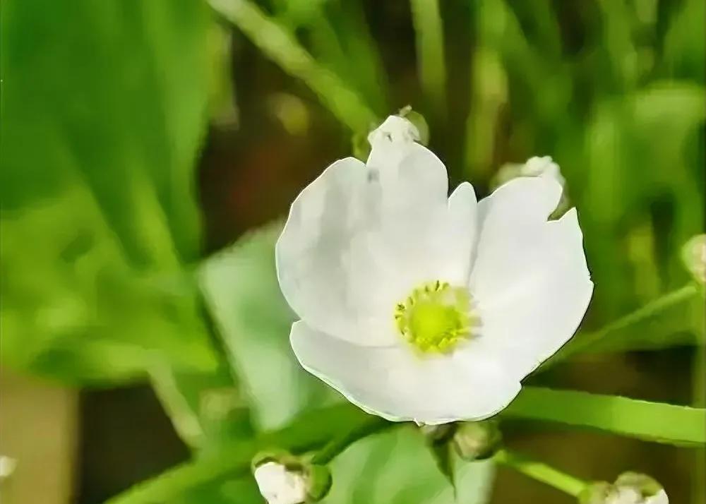 父母存钱不是留给娃花的，是给娃垫底气的。最近听同学说他爸在银行又存了一笔钱，他