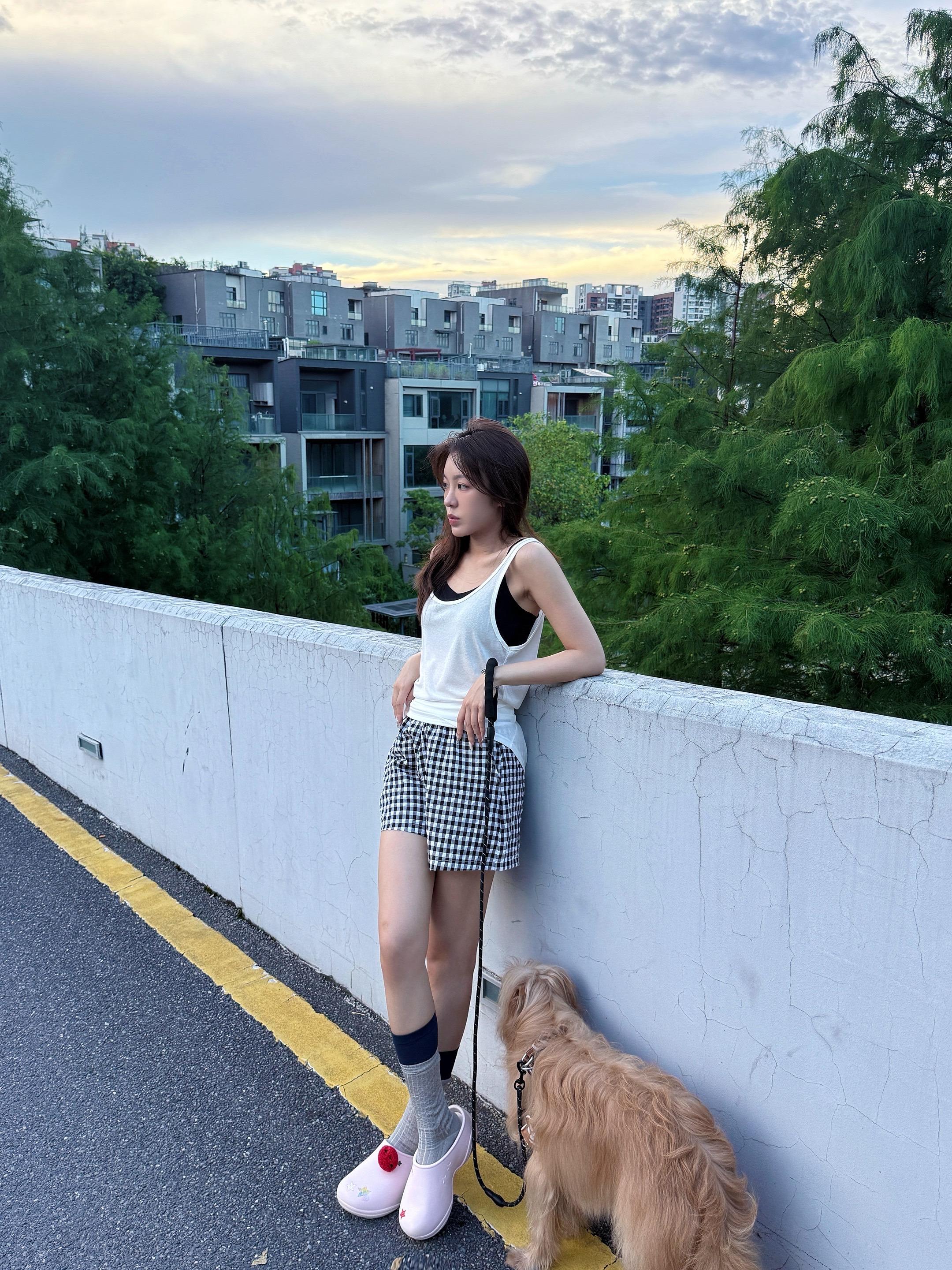 自由小狗正在上岛