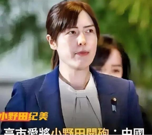 中日两国之间或将再也回不到之前！小野田纪美发文对中国发出抗议，如果一意管制两用物