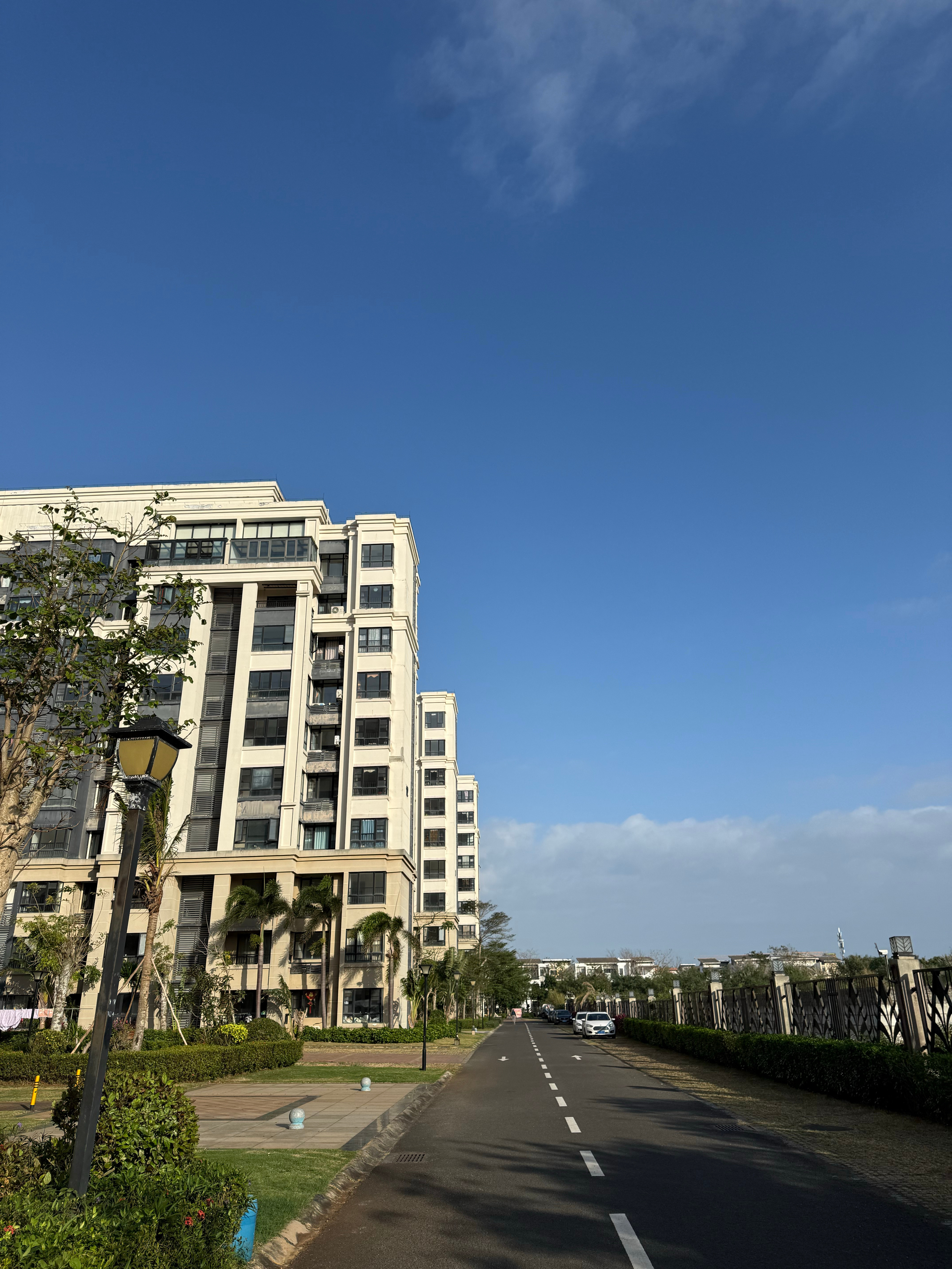 完成每日上午的锻炼内容，6.2公里分别在早起空腹前和早饭后半小时，科学分布逆转脂