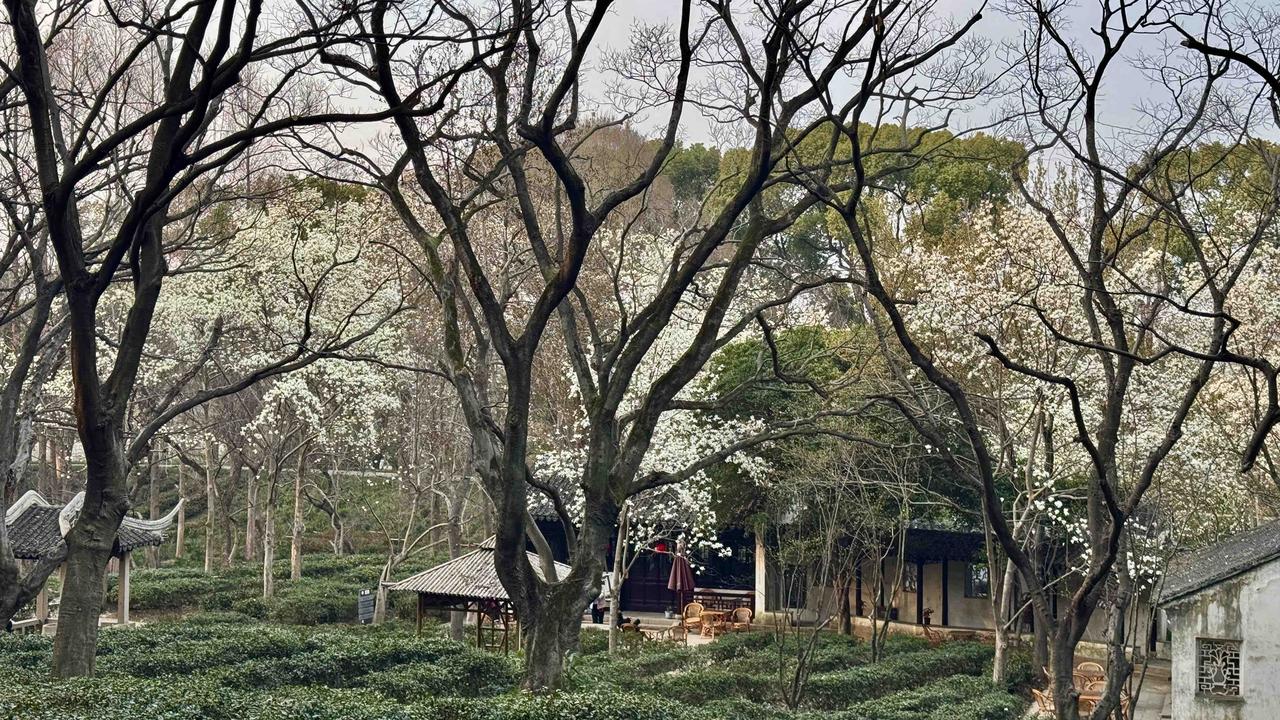 分享一下你随手拍下的照片苏州虎丘，古城西北的“吴中第一名胜”（苏轼曾言“到苏州不