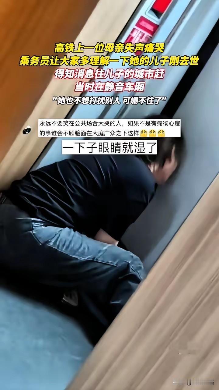 江西一列高铁上，儿子去世，母亲在静音车厢强忍后失声痛哭，乘务员了解情况后解释：她
