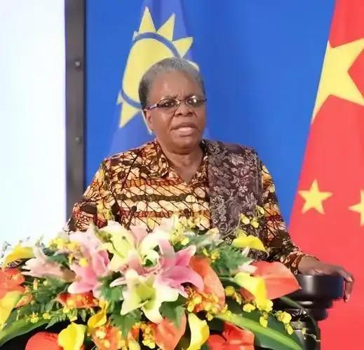 前脚非洲国家纷纷效仿印尼锁矿，影响中资企业在非投资，后脚中国和纳米尼亚联合声明，