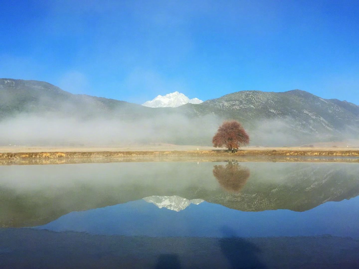 人生就是一个从被别人所满足，慢慢走向被自己所满足的过程。没有完成这两种角色转换的