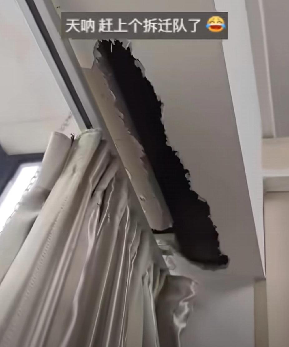 主人工作忙忽略了小鹦鹉，结果小鹦鹉在家直接发飙！主人回家一看天塌了！11月20日