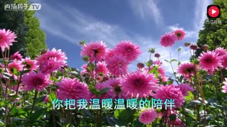 送你一曲醉人的歌, 希望能消除你