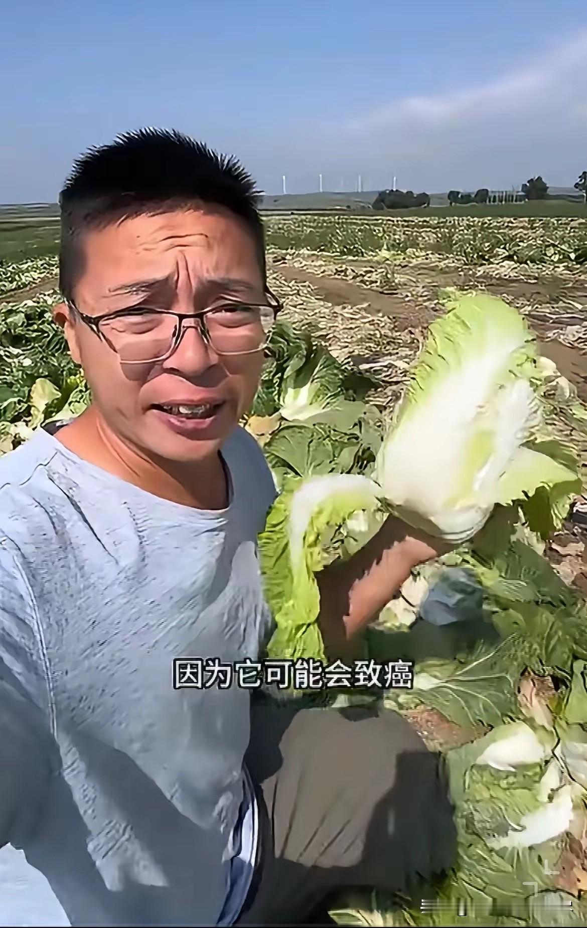 河北张家口“大白菜蘸甲醛”事件，对于普通人来说最想搞懂的几个问题：第一：河北