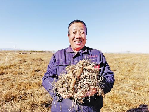 药香漫乡野 产业开新路