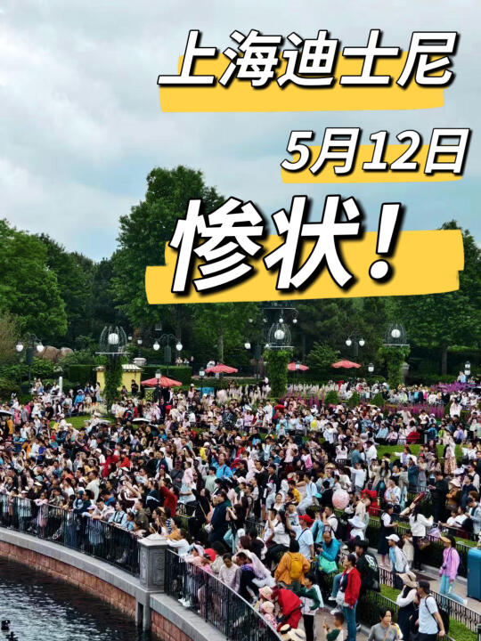 上海迪士尼5🈷️12号惨状！准备来的注意！听劝