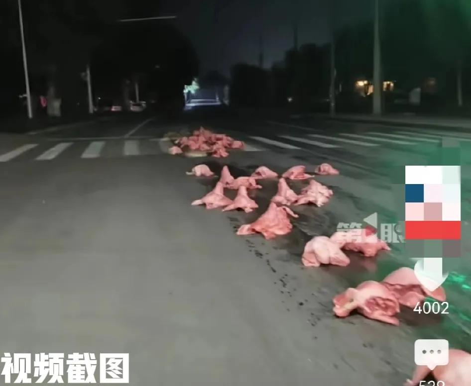 湖北武汉凌晨时有一路面的猪头。这算是公路“猪头阵”吗，这架势还挺震撼眼睛，猪