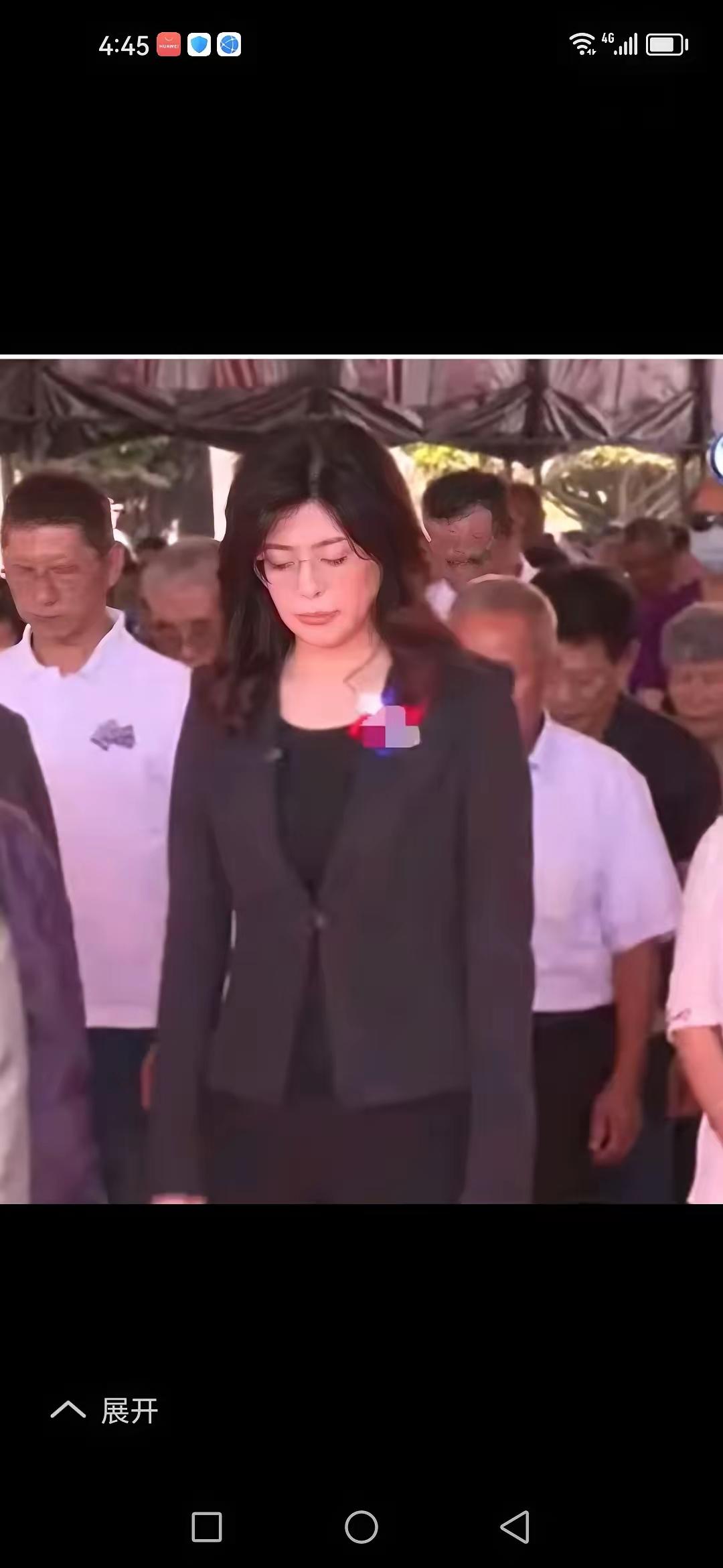 赞郑丽文好女出湾湾，敢为天下先。迷茫陷独营，知理进青天。力呛众绿蛙，