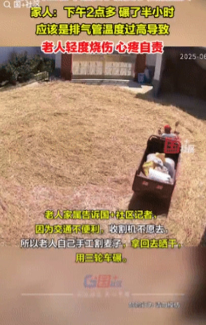 好心疼！陕西，老人自己割了麦子拿回院子里晒，之后开着三轮车碾压进行脱粒，不曾想车