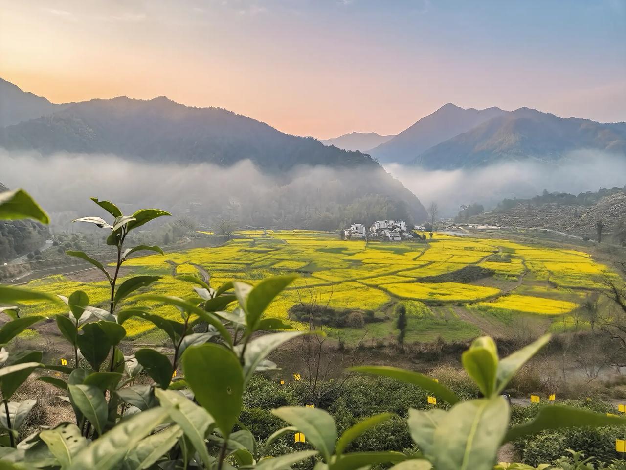 我们常常会遇到这样的家长，询问我有没有时间，说他们过来看看。其实我能理解，毕竟是