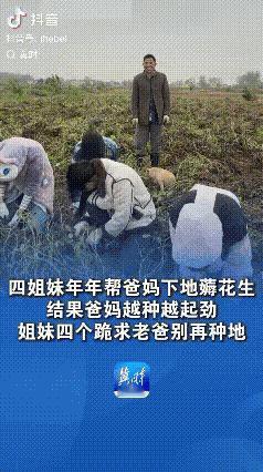 河南商丘这四姐妹也太真实了！年年主动回家帮爸妈薅花生，满心以为自己多干点儿，