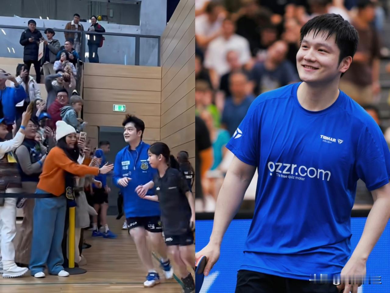 离谱！为看樊振东，法国球迷连夜坐火车冲德国WTT这次算是踢到铁板上了，本