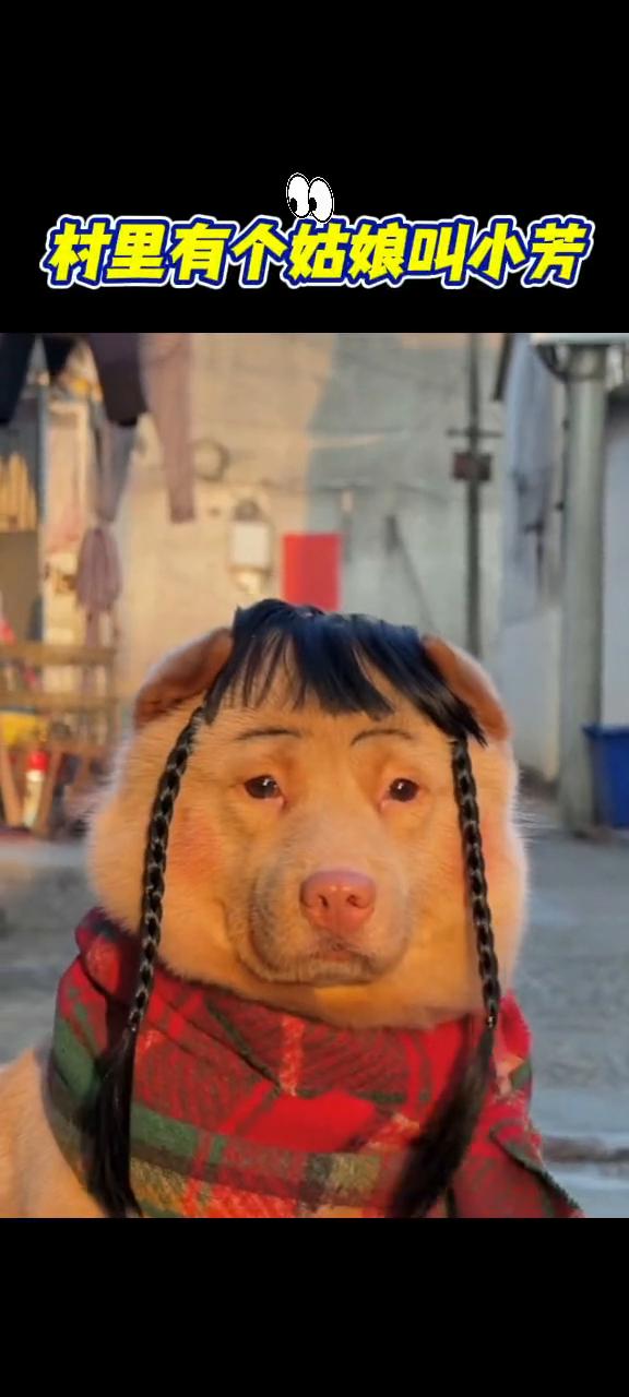 村里有个姑娘叫小芳，