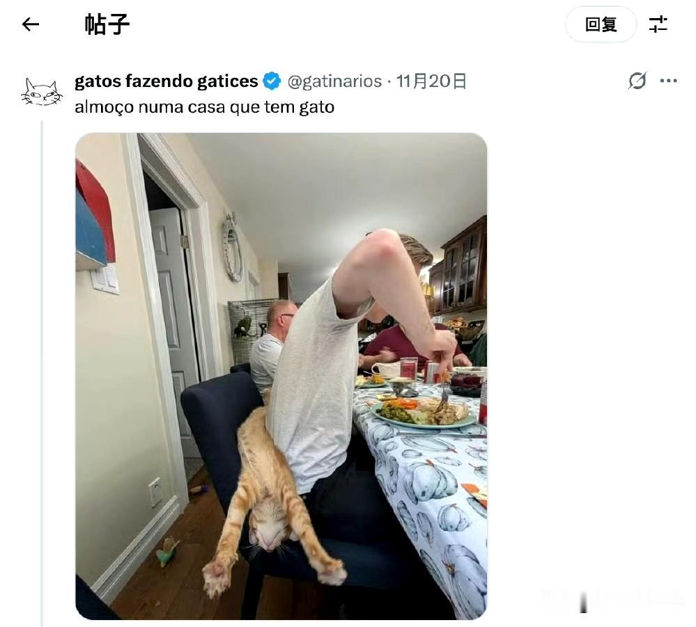 当你在一个养猫人家里做客吃饭[doge]​​​哈哈，橘猫牌靠垫了解一下[捂脸哭]