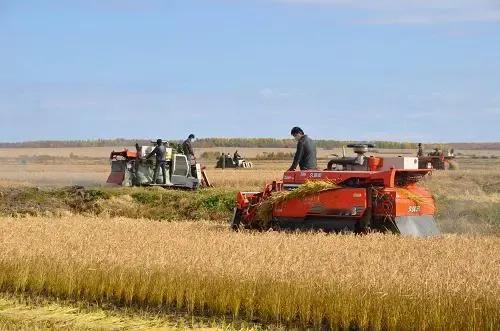 我国为什么要大量进口粮食？2024年中国粮食产量为70650万吨，人均占有量超过