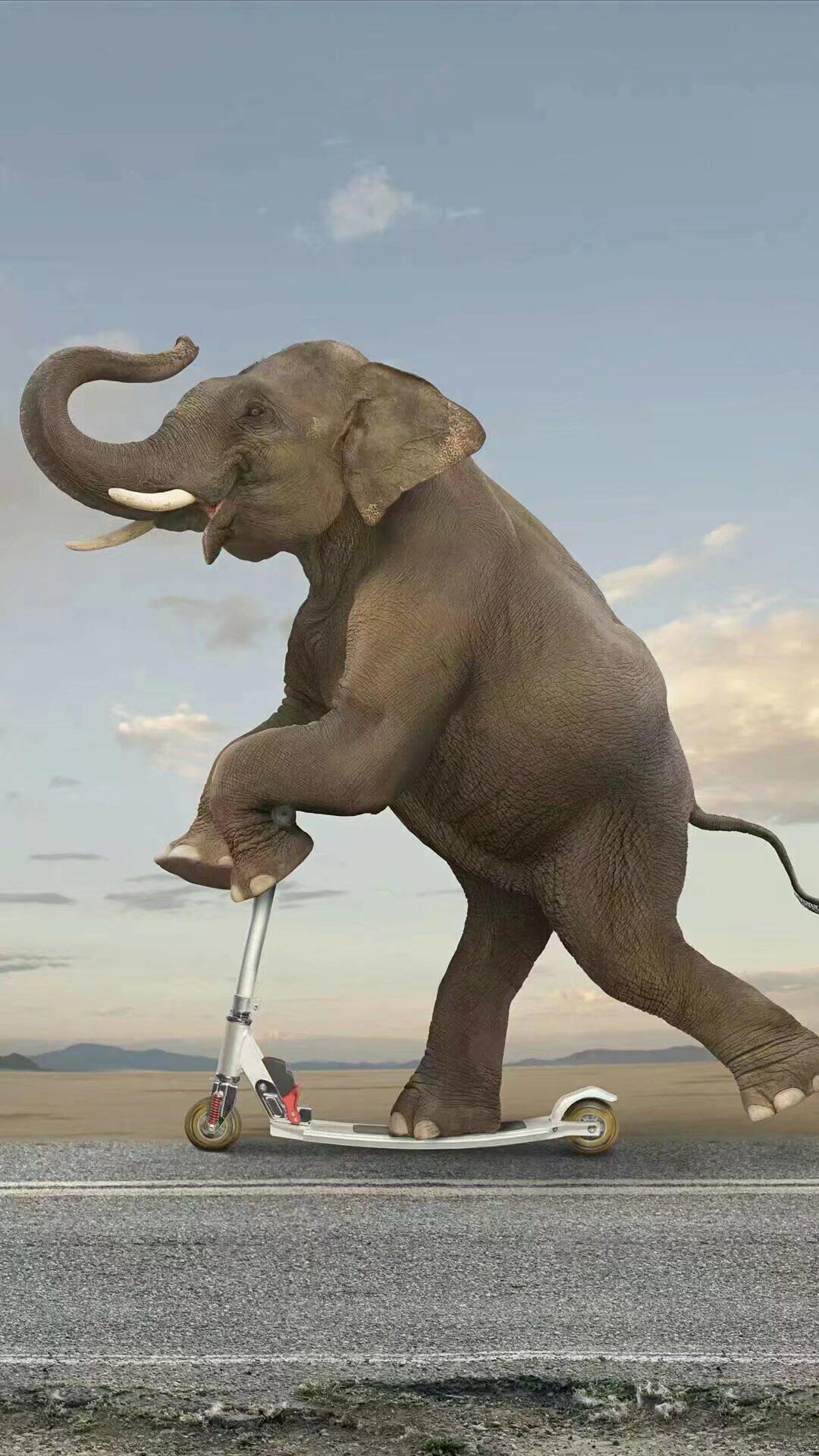 [呲牙笑]美国副总统万斯宣称：整个西半球归美国管辖。。。[呲牙笑]东半球谁管？？耀