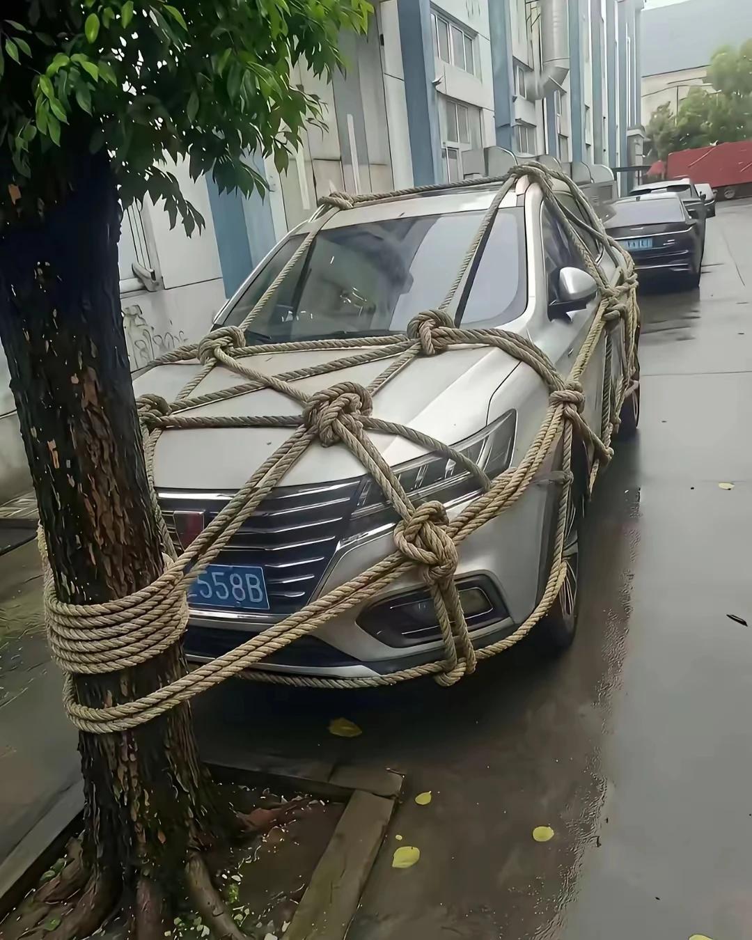 车:台风你能奈我何……[呲牙笑]
