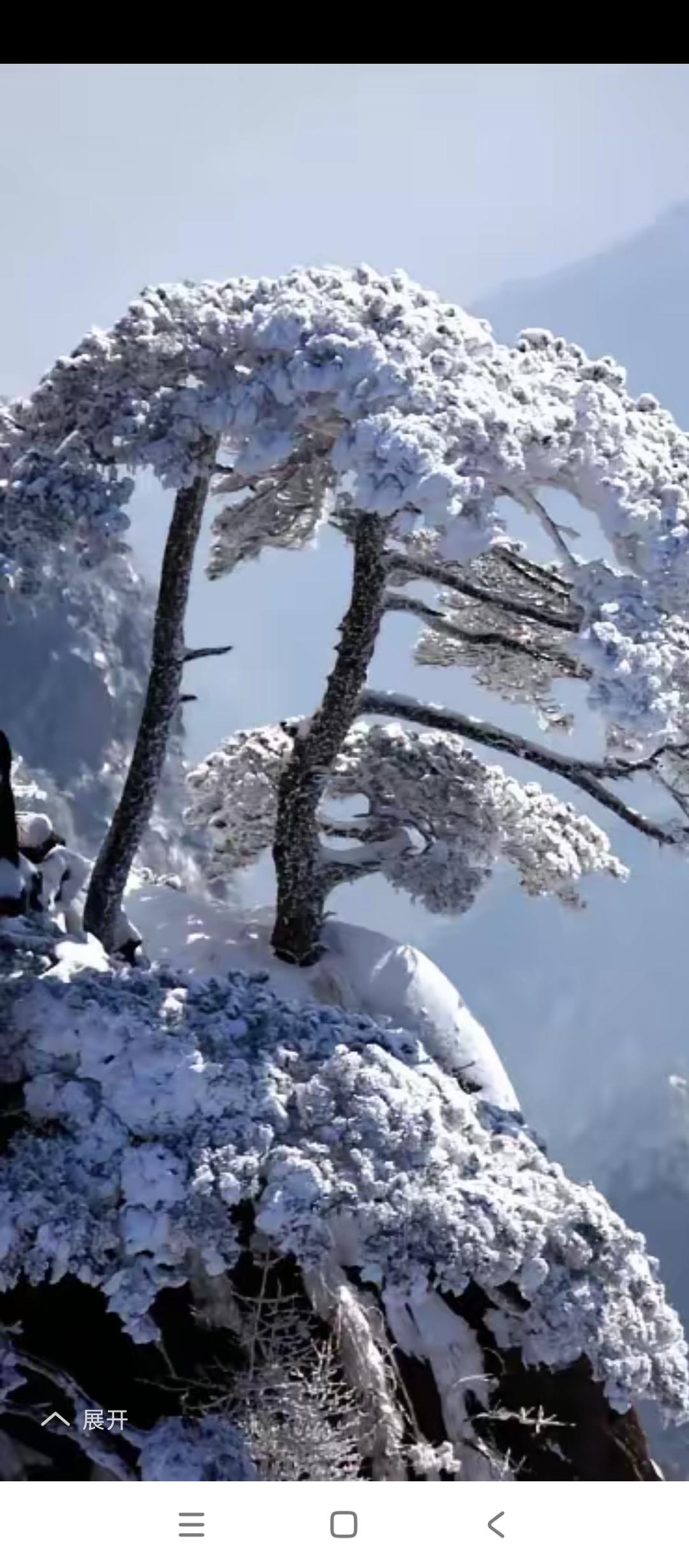 上联：娇柔体态风前柳，诚邀下联飒爽英姿雪后松。