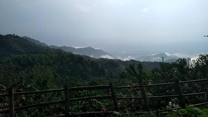 炎陵县人口_株洲市各区县 攸县面积最大,GDP第二