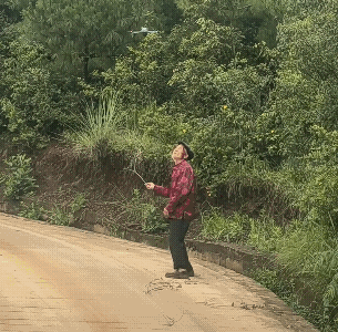 大爷说你敢不敢再飞低一点试试![捂脸哭]