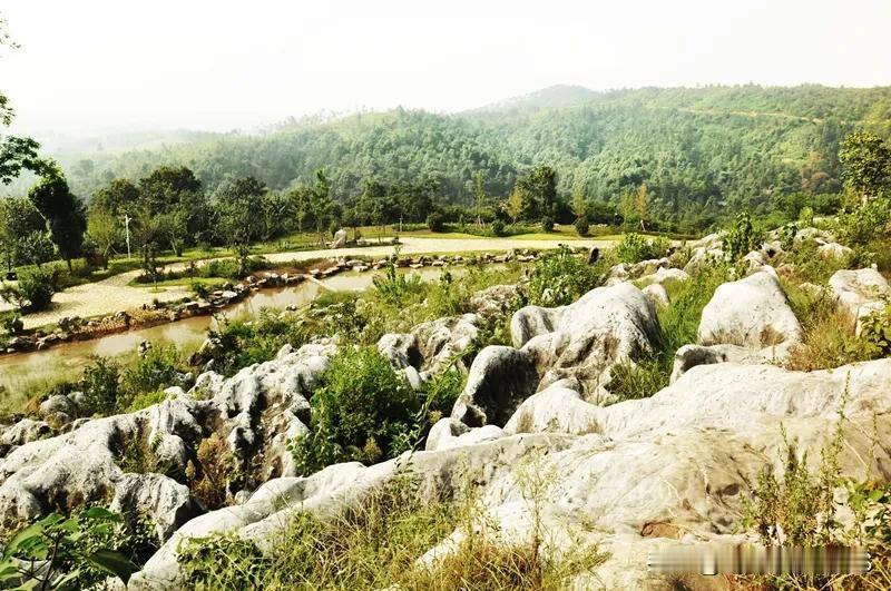 卧龙岗，形似巨龙欲腾飞在襄阳隆中一片苍松翠柏的山岗上，裸露出一