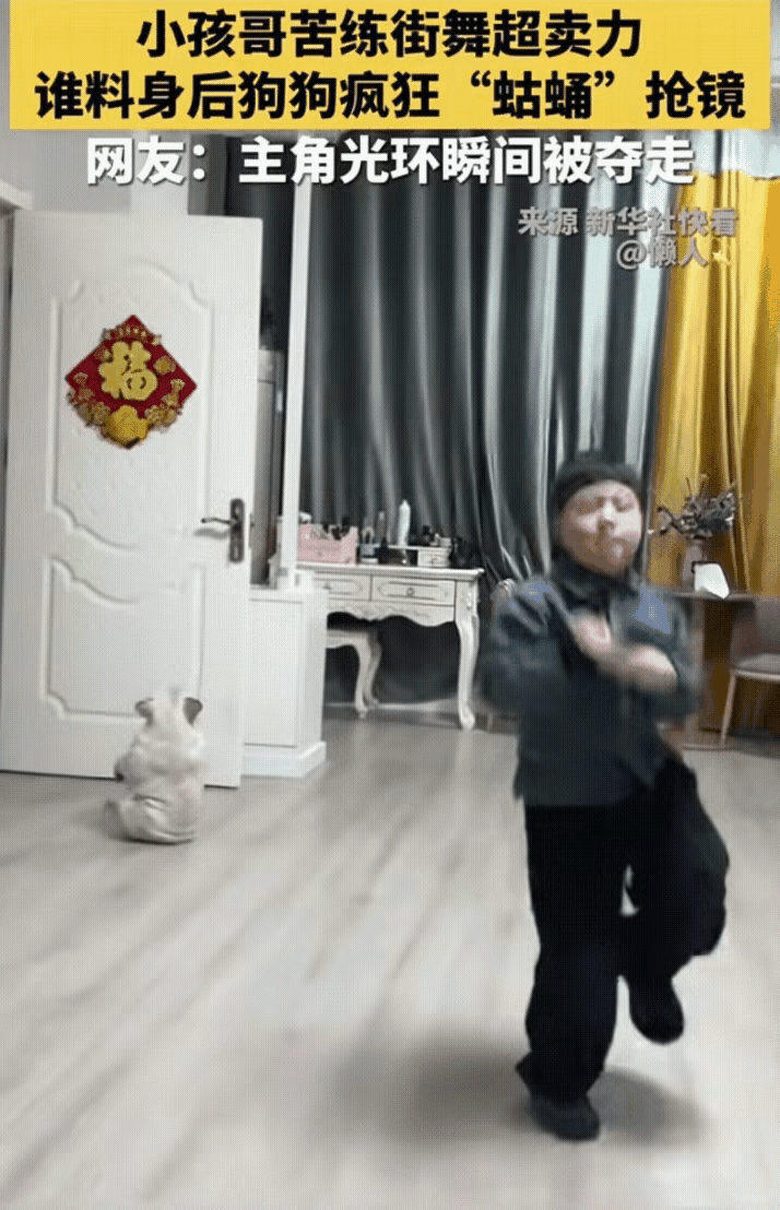 “真是个显眼包！”一名小男孩在家里练习跳街舞，不料，家中的狗子看见后也学着男孩的