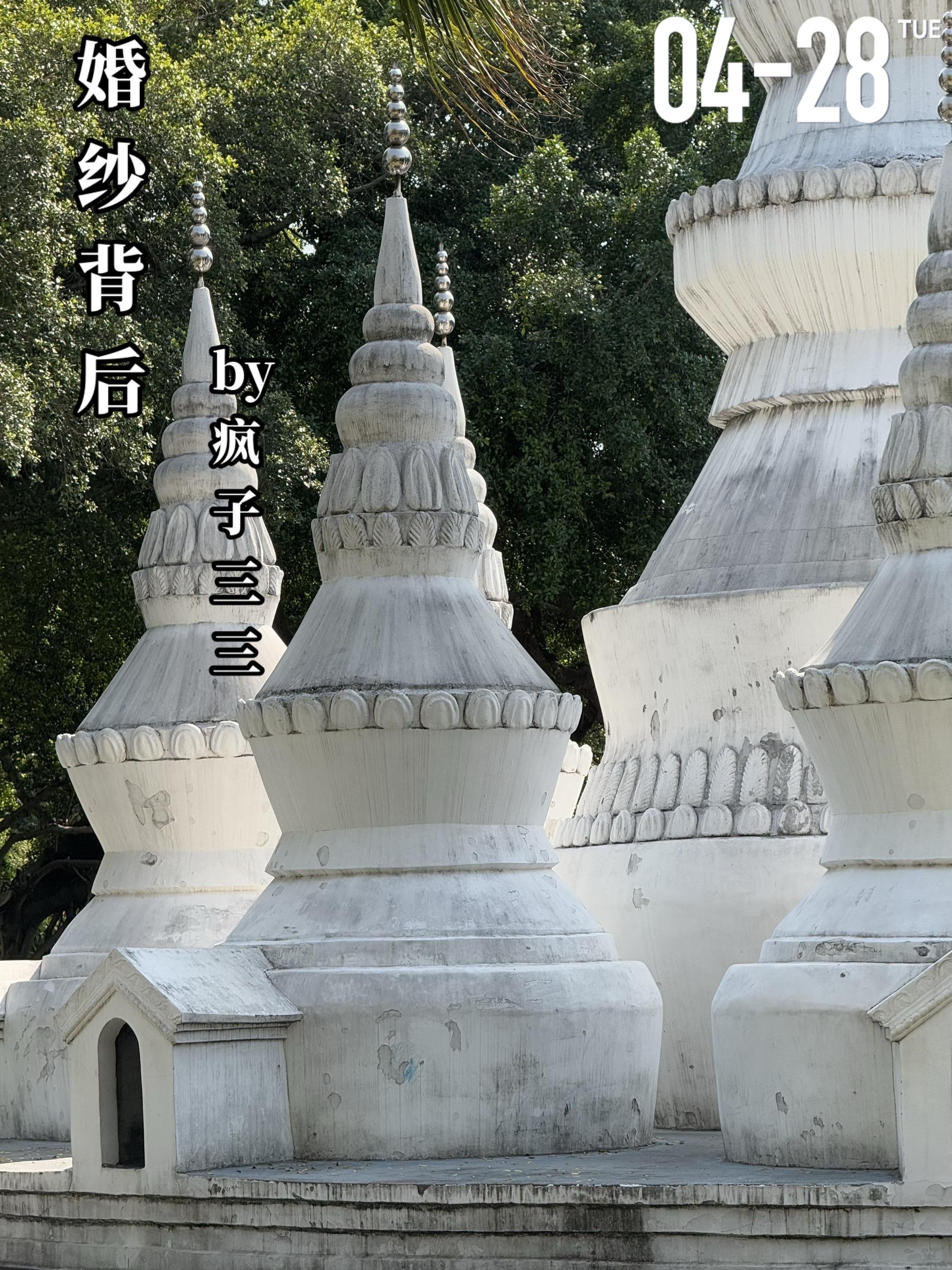 《婚纱背后》by疯子三三。苏绣（女主）因给陆澜川（男主）的妹妹做家教而...