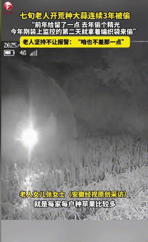 “缺大德了！”山东烟台，7旬大爷在自家地里辛辛苦苦种了几亩的大蒜，可连续3年都被