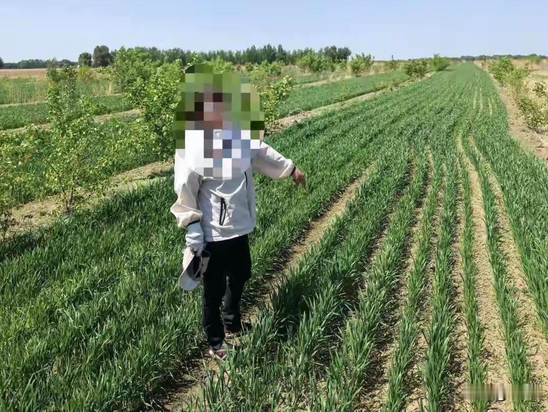 得不偿失了。内蒙古通辽市科尔沁区的村民王某某承包了一片林地，他看到林地里的树木还