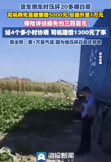 “这算不算又在和稀泥？”辽宁辽阳，一名男子开半挂车调头时，不慎压坏村民20多棵大