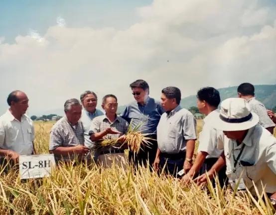 “应该立即死刑！”央视新闻在2024年4月14日曝光了一起惊天大案：我国杂交水稻