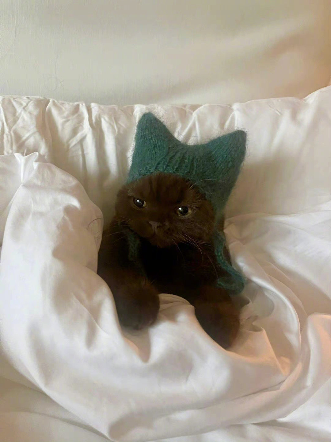 冬季注意耳朵保暖！！