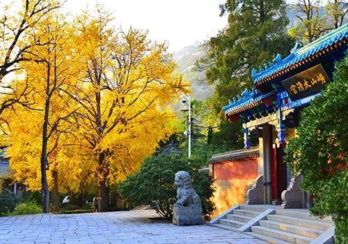 九月，金风送爽天高云淡，正是爬山登高的好时节。九月的崂山，暑气慢慢消散，秋意