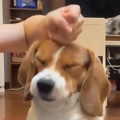 高位是真强，出口中龙头华纺股份继续涨，化工总龙中毅达也继续涨，军工龙头2190继