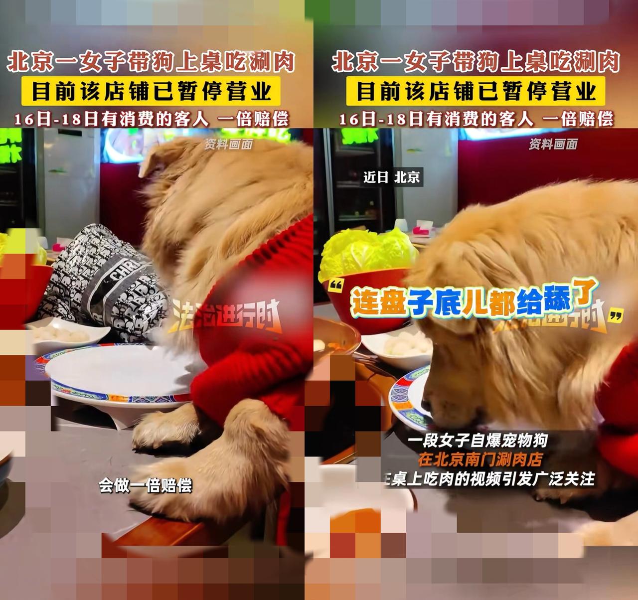 有没有发现，现在有些人的“爱狗”，已经变成了只顾及自己，完全不管别人的自私？