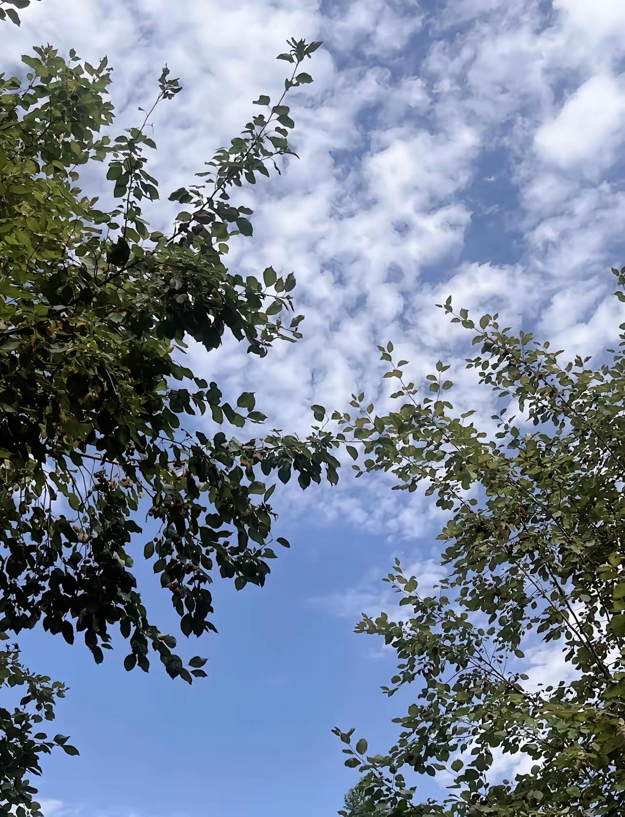 莫言说：千万不要觉得在家闲着就是罪恶莫言说：“千万不要觉得在家闲着就是罪恶