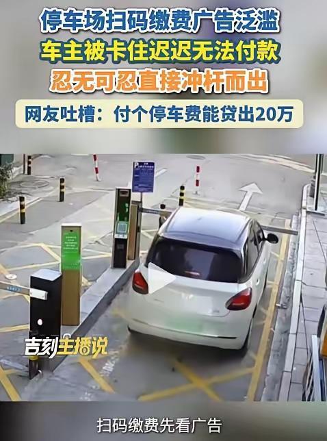 交几十块停车费，却要跟一堆弹窗广告斗智斗勇。我觉得本该简化的便民操作，不该被流量
