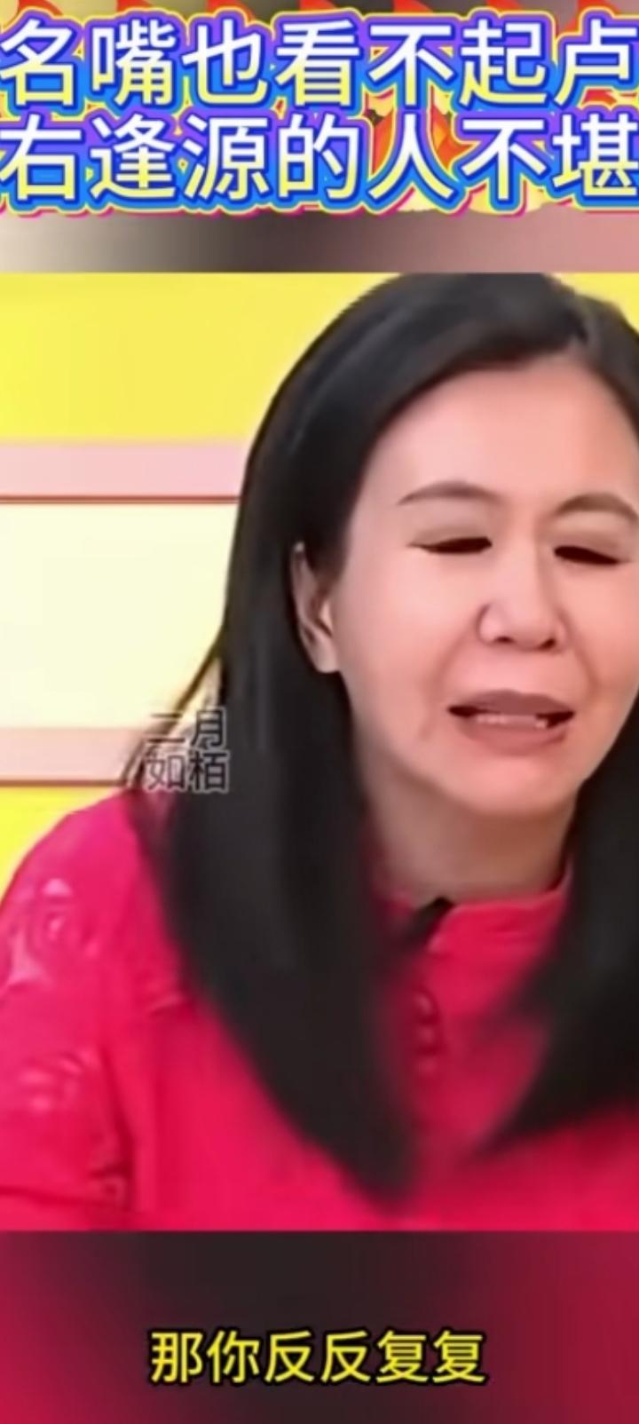 绿营评价卢秀燕，反反复复。从美国回来同意8000--10000亿新台币军购，