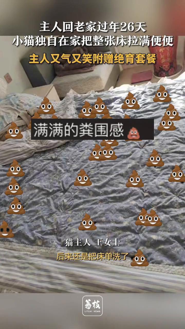 主人回老家过年26天，小猫独自在家把整张床拉满便便，主人又气又笑附赠绝育套餐。