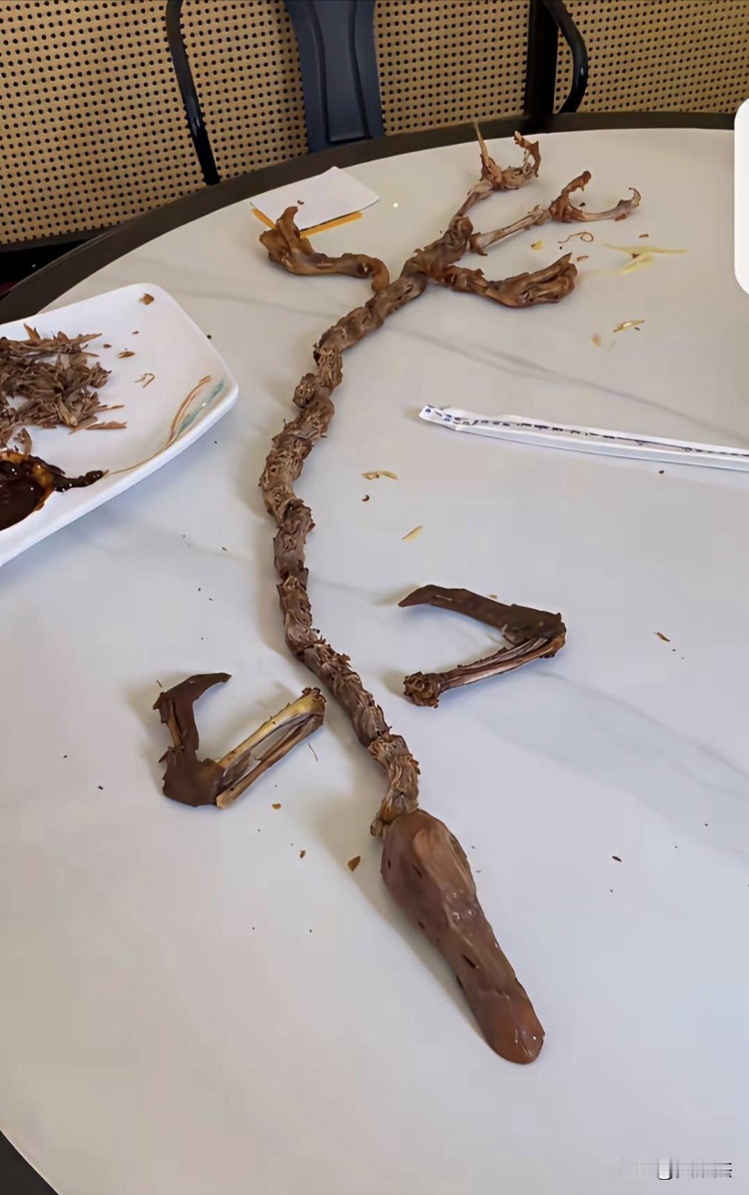 吃完鸭子拼接的骨头像什么？