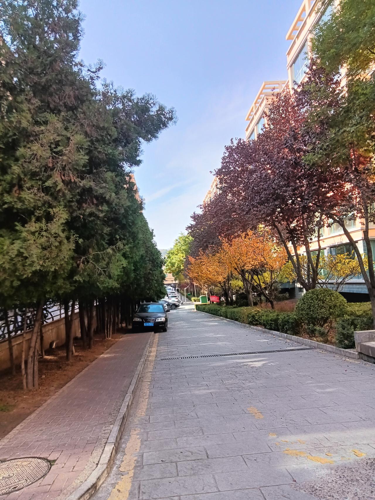 一大早的，孩子班里一个同学要自杀，还好被发现及时救了下来才十二三岁的孩子啊，