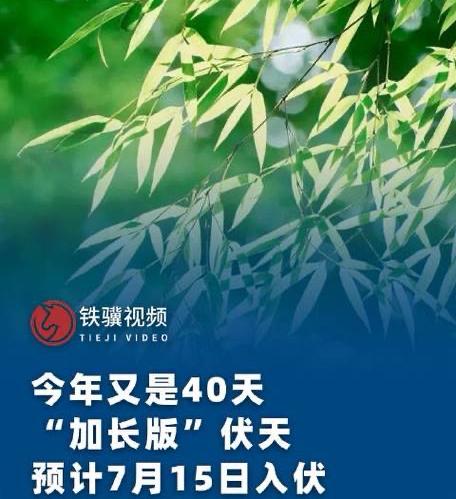 今年的三伏天为啥是“加长版”？明天入伏，你知道今年三伏天变成