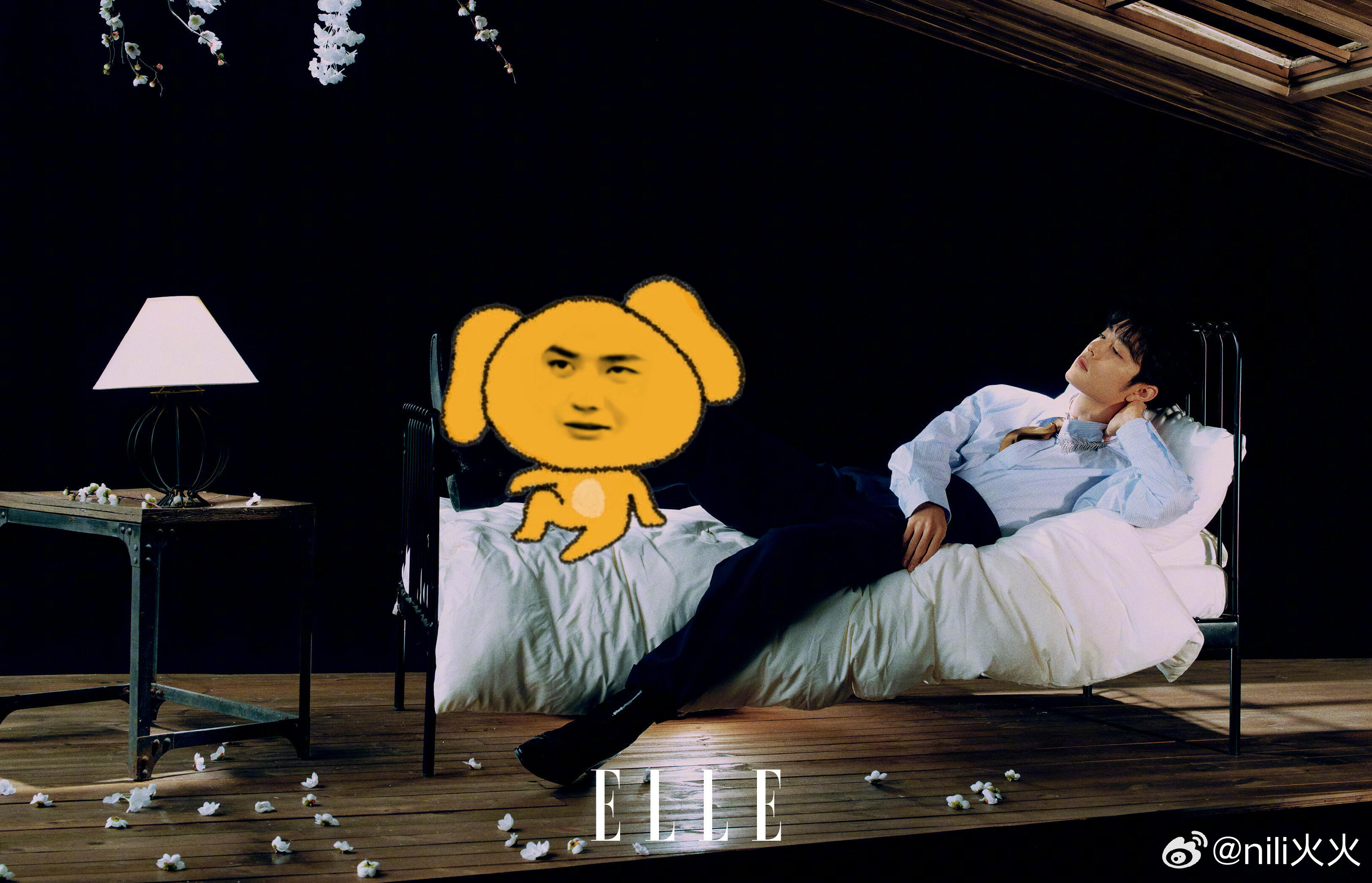 灰常可爱，又有食欲哈哈哈哈cr.MercuryRover博君一肖