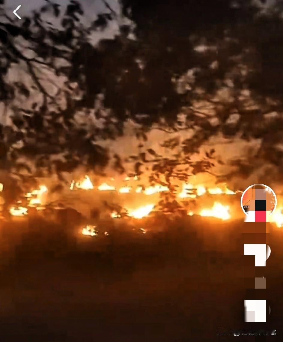 湖南岳阳焚烧秸秆引发市民不适网友：宁要远处青山绿水，不要城里一草一木支持！