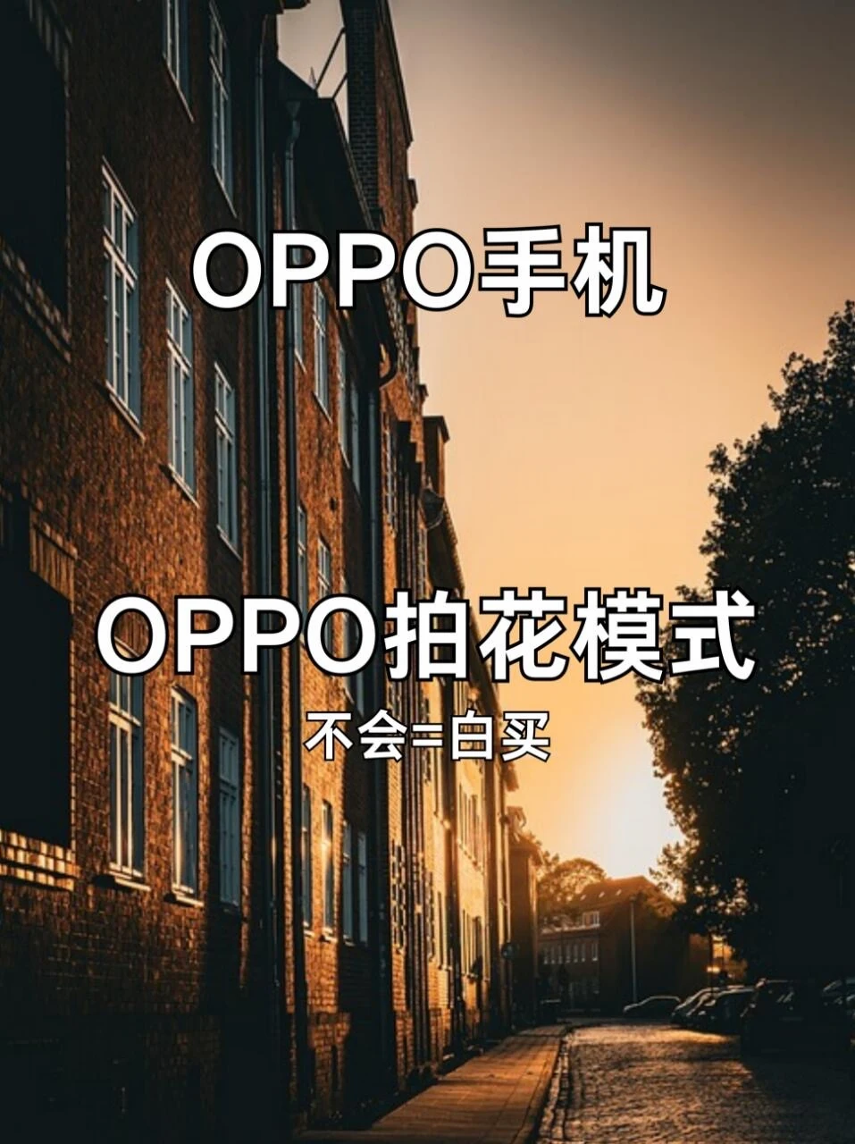 OPPO手机拍花教程❗️