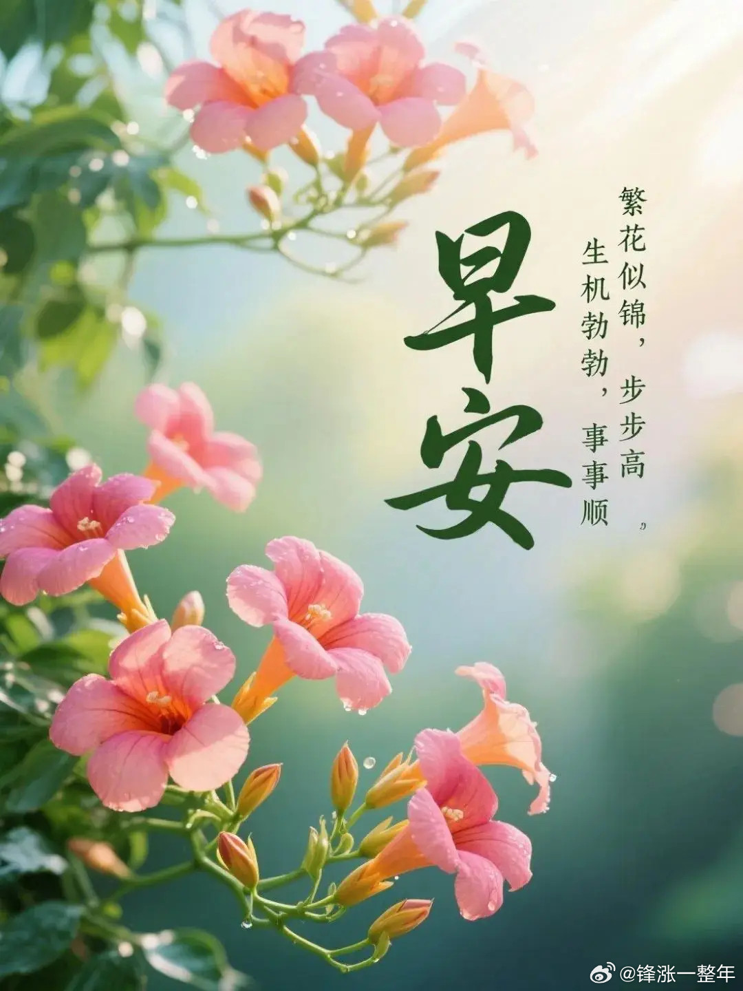 早安[玫瑰][玫瑰]周一[吐舌头眯眼睛笑][吐舌头眯眼睛笑]​​​
